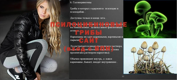 дмт Абдулино