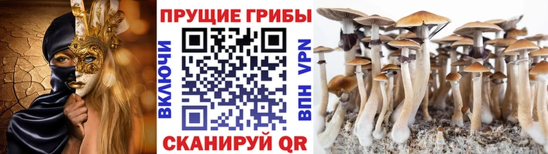 Псилоцибиновые грибы MAGIC MUSHROOMS Опочка